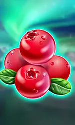Winterberries